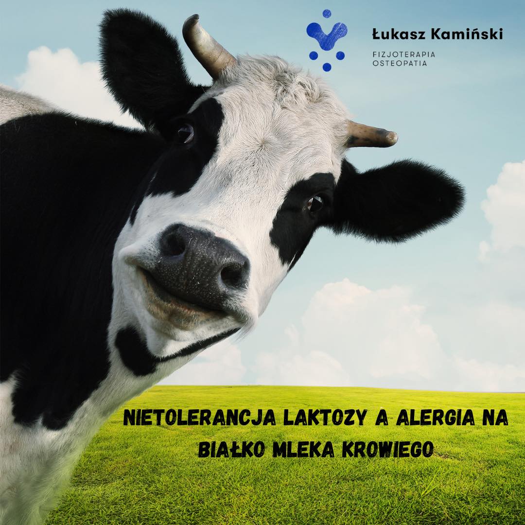 Nietolerancja laktozy a alergia na białko mleka krowiego